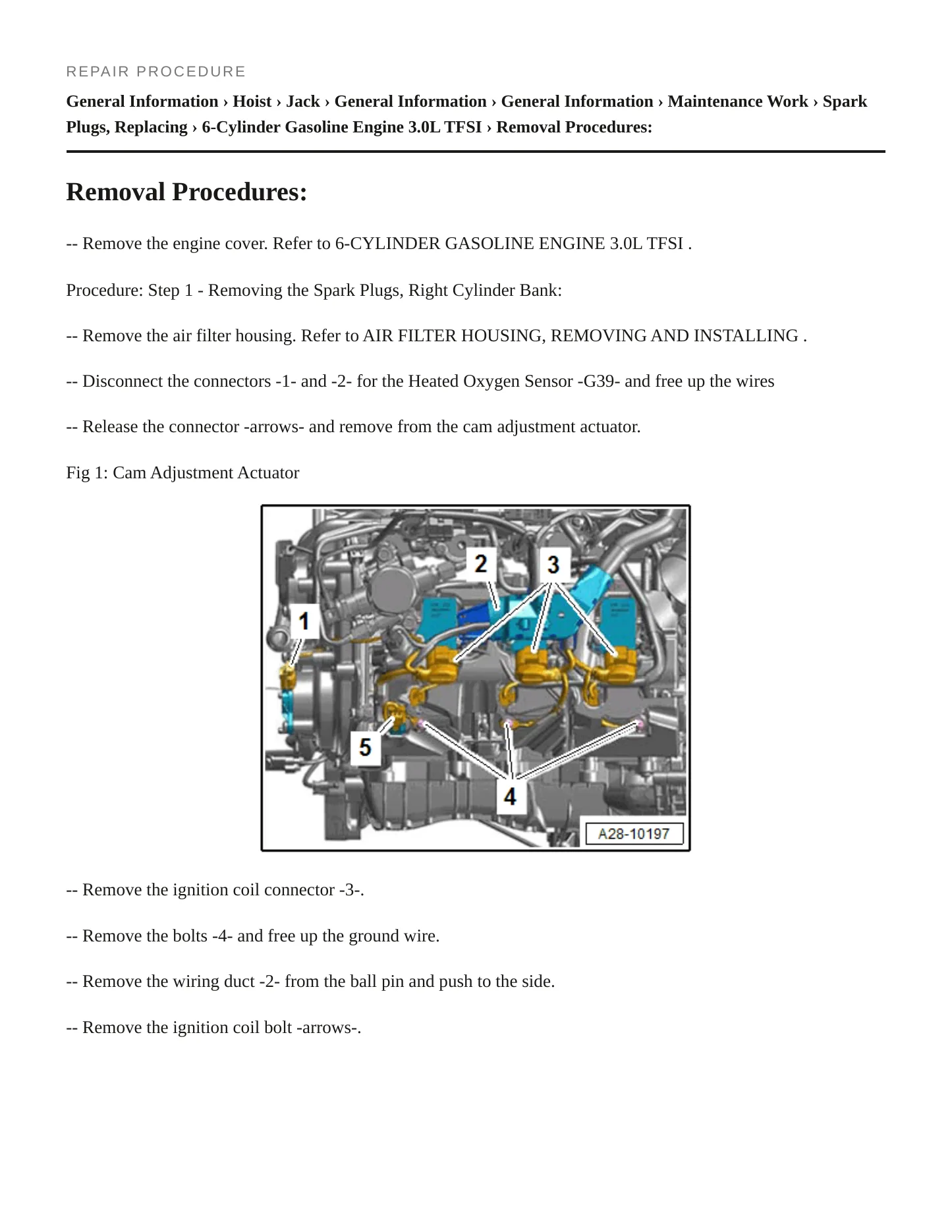 2019 Audi Q5 Service and Repair Manual preview page 4