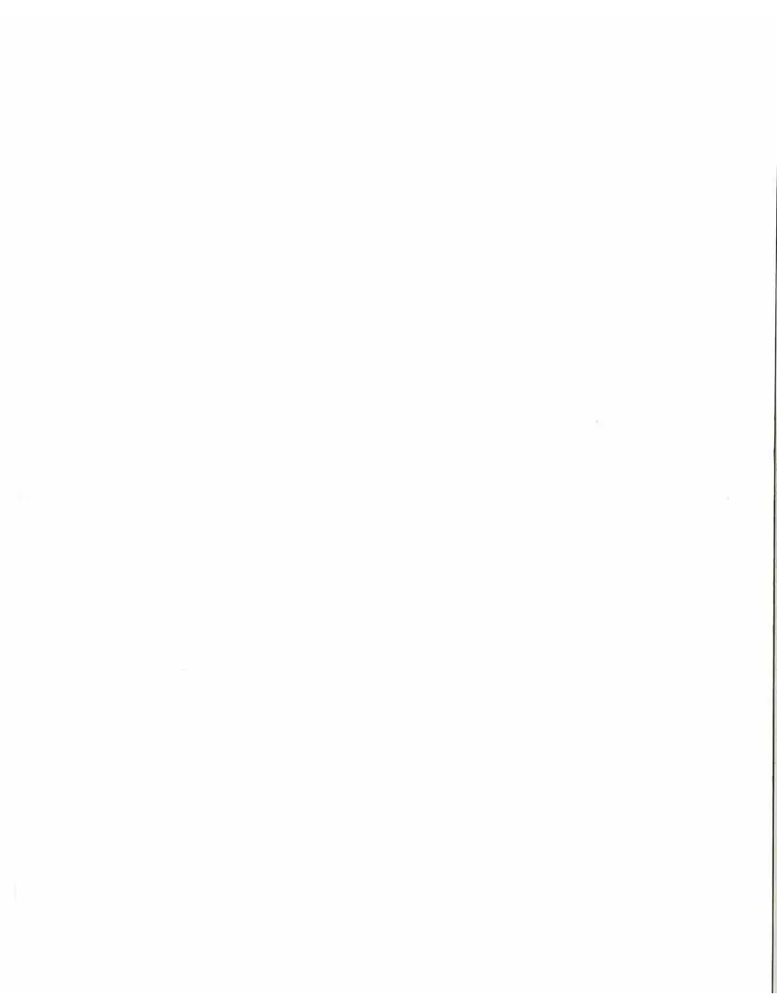 Cub Cadet 60 Hydrostatic Zero-Turn Commercial Riding Mower Service & Repair Manual preview page 2