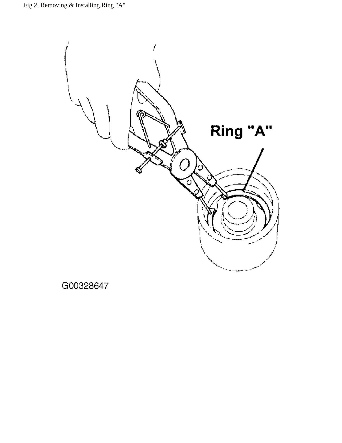 2002 INFINITI G20 Service and Repair Manual preview page 6
