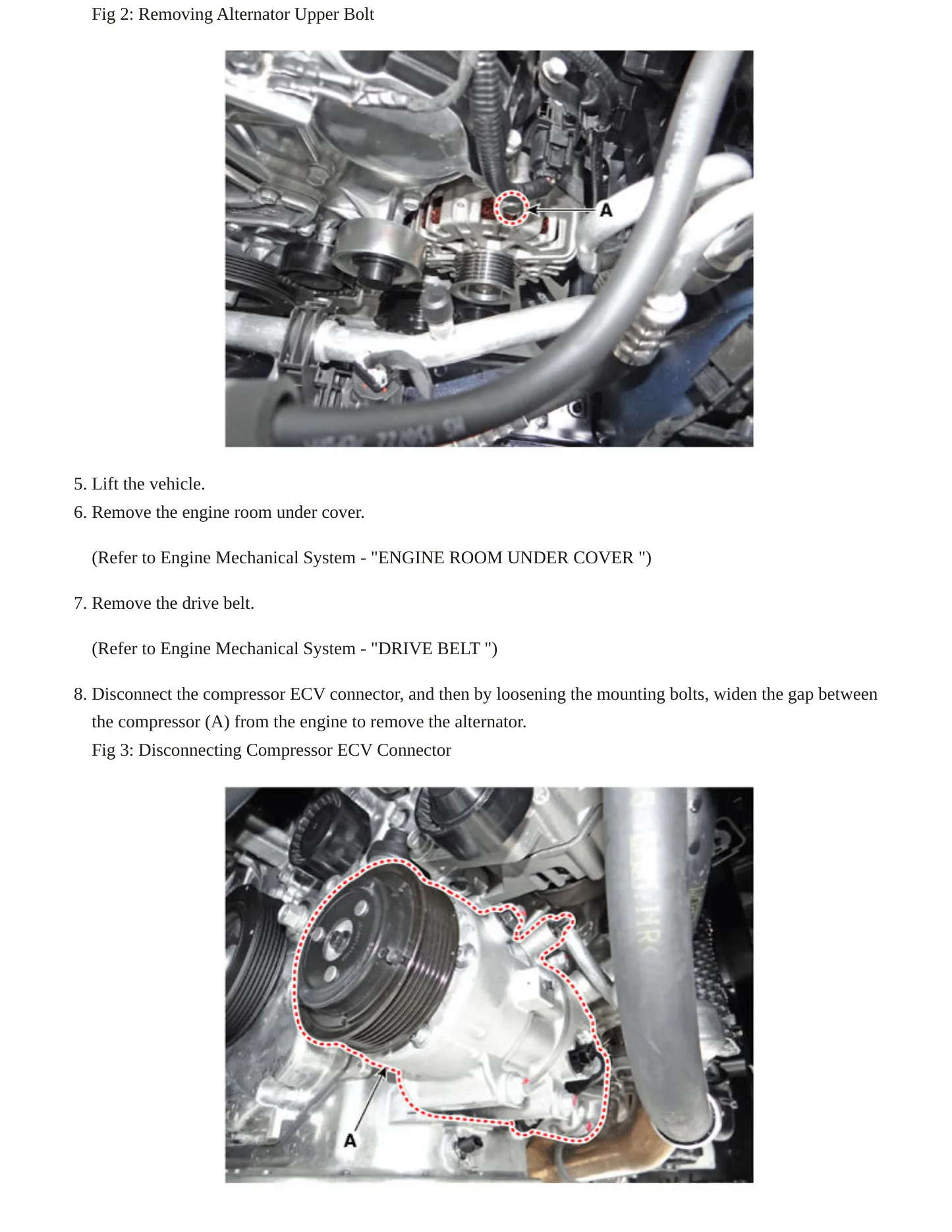 2018 Kia Cadenza Service and Repair Manual preview page 5