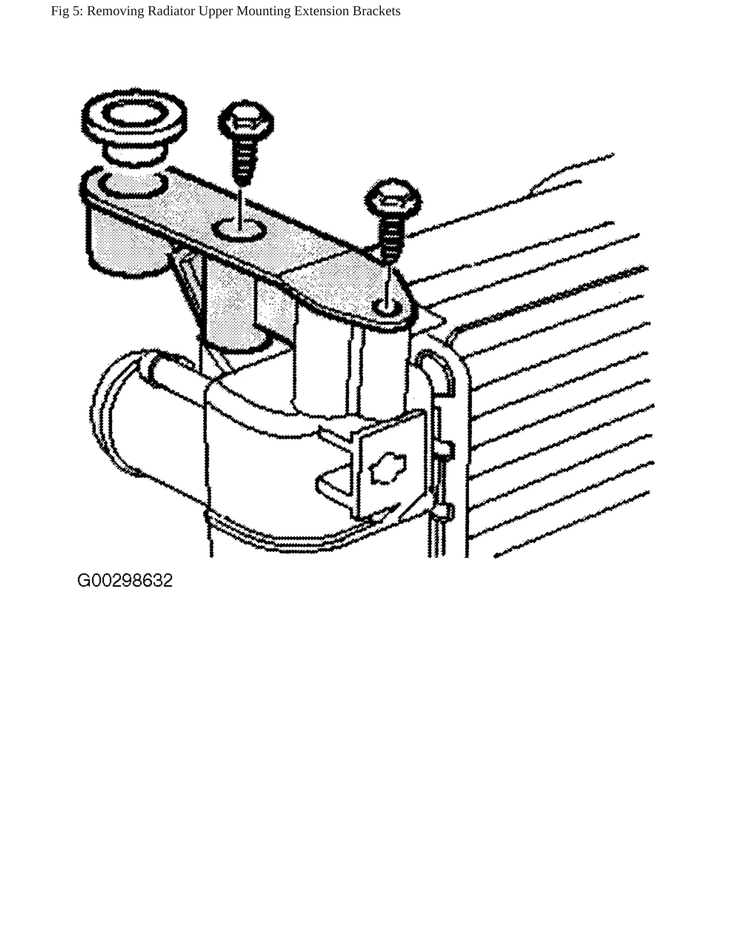 2005 Land Rover Freelander Service and Repair Manual preview page 10