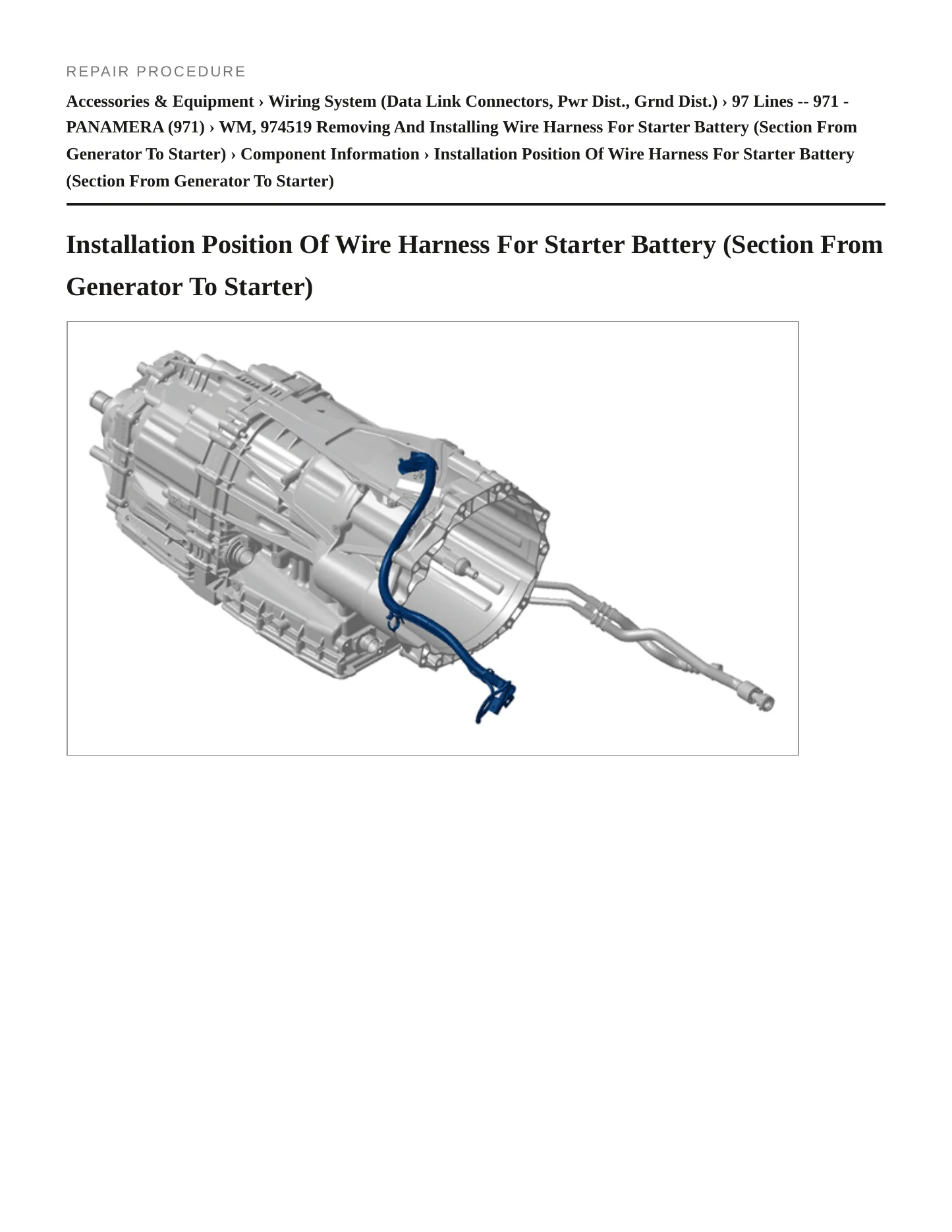 2020 Porsche Panamera Service and Repair Manual preview page 2